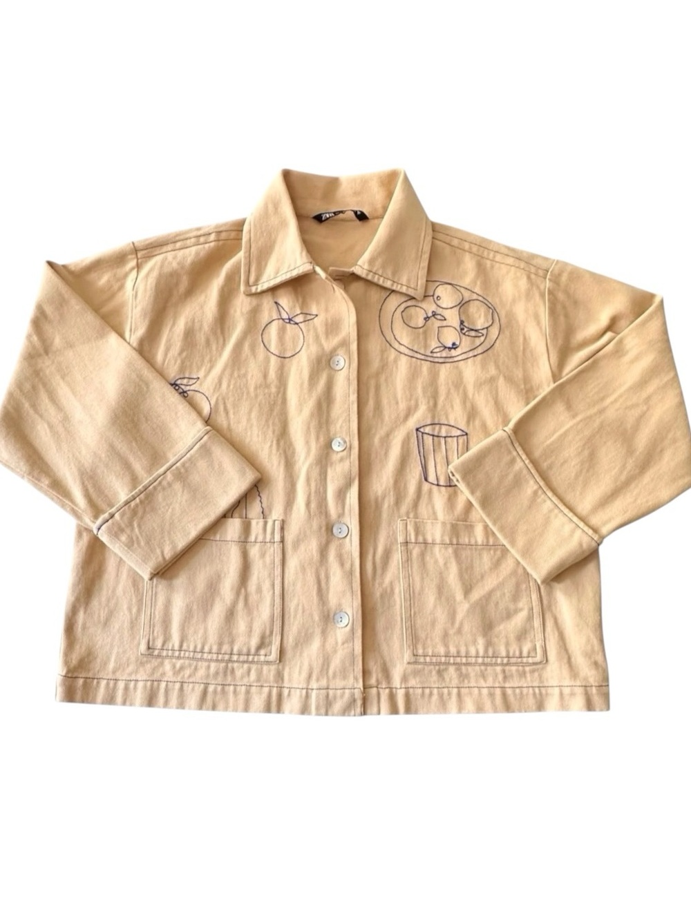 Zara Embroidered Food Jacket
